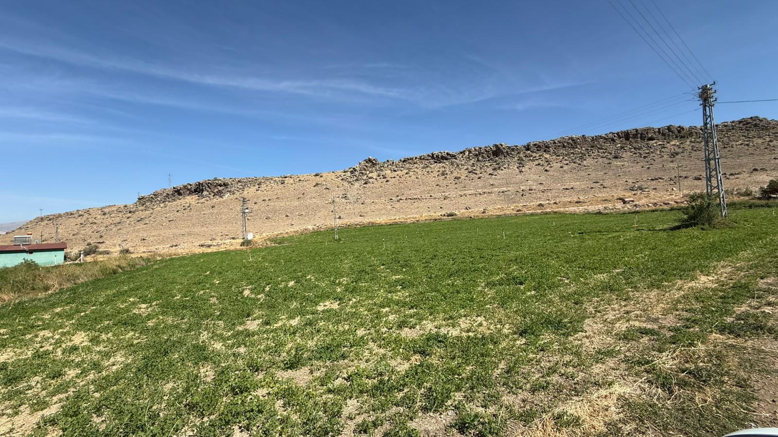 KAYSERİ DEVELİ GÜNEYAŞAĞI MAHALLESİ ÇOBANBAĞI MEVKİİNDE SATILIK BAĞ YERİ